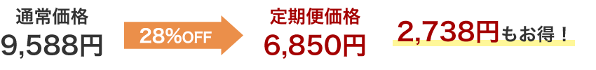 26%OFF 定期便価格6,850円