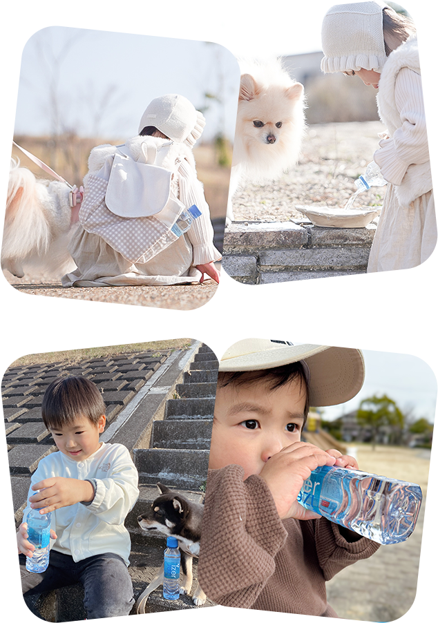 コンパクトで持ち運びやすい