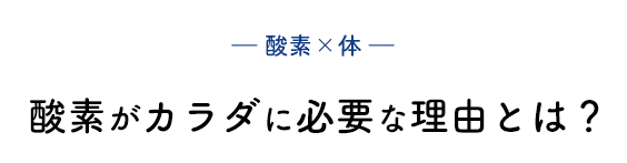 ― 酸素×体 ― 酸素がカラダに必要な理由とは？