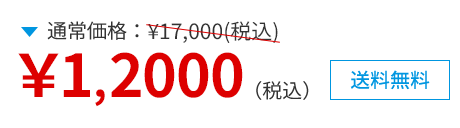 通常価格17,000円